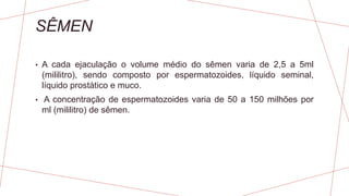 SÊMEN
• A cada ejaculação o volume médio do sêmen varia de 2,5 a 5ml
(mililitro), sendo composto por espermatozoides, líquido seminal,
líquido prostático e muco.
• A concentração de espermatozoides varia de 50 a 150 milhões por
ml (mililitro) de sêmen.
 