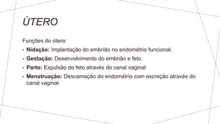 ÚTERO
Funções do útero:
• Nidação: Implantação do embrião no endométrio funcional.
• Gestação: Desenvolvimento do embrião e feto.
• Parto: Expulsão do feto através do canal vaginal
• Menstruação: Descamação do endométrio com excreção através do
canal vaginal.
 