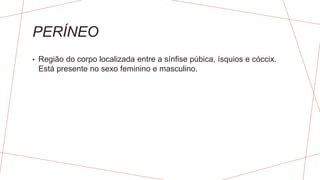 PERÍNEO
• Região do corpo localizada entre a sínfise púbica, ísquios e cóccix.
Está presente no sexo feminino e masculino.
 