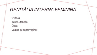 GENITÁLIA INTERNA FEMININA
• Ovários
• Tubas uterinas
• Útero
• Vagina ou canal vaginal
 