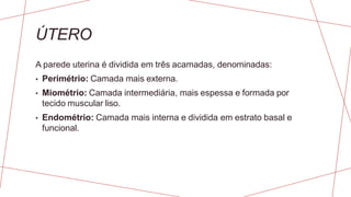 ÚTERO
A parede uterina é dividida em três acamadas, denominadas:
• Perimétrio: Camada mais externa.
• Miométrio: Camada intermediária, mais espessa e formada por
tecido muscular liso.
• Endométrio: Camada mais interna e dividida em estrato basal e
funcional.
 