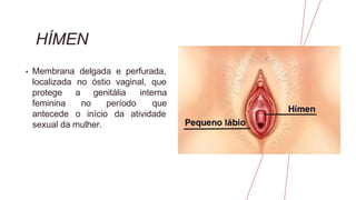 HÍMEN
• Membrana delgada e perfurada,
localizada no óstio vaginal, que
a genitália
no período
interna
que
protege
feminina
antecede o início da atividade
sexual da mulher.
 