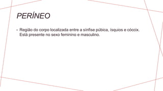 PERÍNEO
• Região do corpo localizada entre a sínfise púbica, ísquios e cóccix.
Está presente no sexo feminino e masculino.
 