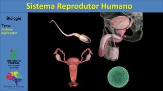 Biologia
Tema:
Sistema
Reprodutor
Sistema Reprodutor Humano
 