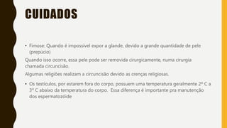 CUIDADOS
• Fimose: Quando é impossível expor a glande, devido a grande quantidade de pele
(prepúcio)
Quando isso ocorre, essa pele pode ser removida cirurgicamente, numa cirurgia
chamada circuncisão.
Algumas religiões realizam a circuncisão devido as crenças religiosas.
• Os testículos, por estarem fora do corpo, possuem uma temperatura geralmente 2º C a
3º C abaixo da temperatura do corpo. Essa diferença é importante pra manutenção
dos espermatozóide
 