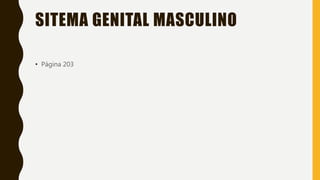 SITEMA GENITAL MASCULINO
• Página 203
 