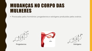MUDANÇAS NO CORPO DAS
MULHERES
• Provocadas pelos hormônios: progesterona e estrógeno produzidos pelos ovários.
Progesterona Estrógeno
 