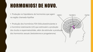 HORMONIOS! DE NOVO.
• Produção no hipotálamo de hormonios que agem
na região chamada hipófise
• Produção dos hormônios FSH (foliculoestimulante) e
o hormônio luteinizante (LH) que estimulam a produção
dos óvulos e espermatozóides, além de estimular a produção
dos hormonios sexuais (testosterona e progesterona)
 
