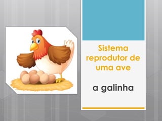 Sistema
reprodutor de
uma ave
a galinha
 