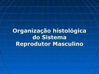 Organização histológica
do Sistema
Reprodutor Masculino
 