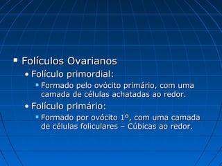  Folículos OvarianosFolículos Ovarianos
• Folículo primordial:Folículo primordial:
 Formado pelo ovócito primário, com umaFormado pelo ovócito primário, com uma
camada de células achatadas ao redor.camada de células achatadas ao redor.
• Folículo primário:Folículo primário:
 Formado por ovócito 1º, com uma camadaFormado por ovócito 1º, com uma camada
de células foliculares – Cúbicas ao redor.de células foliculares – Cúbicas ao redor.
 