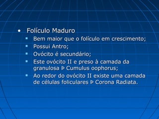 • Folículo MaduroFolículo Maduro
 Bem maior que o folículo em crescimento;Bem maior que o folículo em crescimento;
 Possui Antro;Possui Antro;
 Ovócito é secundário;Ovócito é secundário;
 Este ovócito II e preso à camada daEste ovócito II e preso à camada da
granulosa Þ Cumulus oophorus;granulosa Þ Cumulus oophorus;
 Ao redor do ovócito II existe uma camadaAo redor do ovócito II existe uma camada
de células foliculares Þ Corona Radiata.de células foliculares Þ Corona Radiata.
 