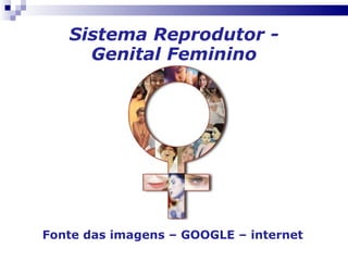 Sistema Reprodutor - Genital Feminino Fonte das imagens – GOOGLE – internet 