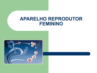 APARELHO REPRODUTOR FEMININO 