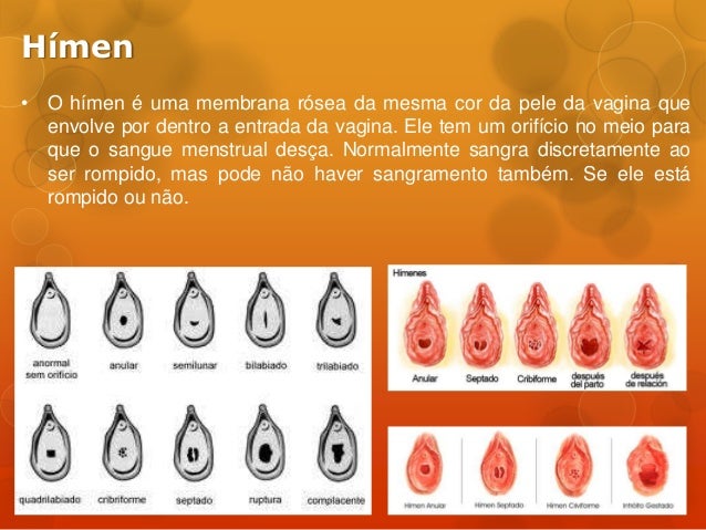 Sistema reprodutor feminino