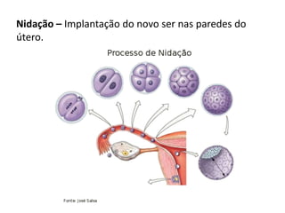 Nidação – Implantação do novo ser nas paredes do
útero.
 