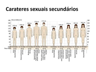 Carateres sexuais secundários
 
