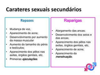 Carateres sexuais secundários
          Rapazes                          Raparigas

• Mudança de voz,
                                  • Alargamento das ancas;
• Aparecimento de acne;
                                  • Desenvolvimento dos seios e
• Desenvolvimento por aumento       das ancas;
  da massa muscular
                                  • Aparecimento dos pêlos nas
• Aumento do tamanho do pénis       axilas, órgãos genitais, etc.
  e testículos;
                                  • Aparecimento de acne;
• Aparecimento dos pêlos nas
                                  • Aparecimento da
  axilas, órgãos genitais, etc.
                                    menstruação.
• Primeiras ejaculações.
 