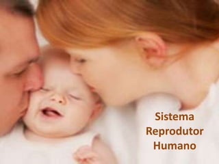 Sistema
Reprodutor
 Humano
 