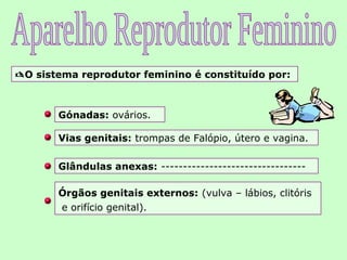 O sistema reprodutor feminino é constituído por:



       Gónadas: ovários.

       Vias genitais: trompas de Falópio, útero e vagina.

       Glândulas anexas: ---------------------------------

       Órgãos genitais externos: (vulva – lábios, clitóris
       e orifício genital).
 