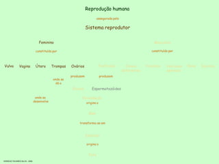 Reprodução humana
                                                                        assegurada pelo


                                                                 Sistema reprodutor

                                  Feminino                                                                 Masculino

                                constituído por                                                           constituído por



Vulva          Vagina           Útero       Trompas   Ovários            Testículos         Canais     Próstata     Vesículas   Pénis   Escroto
                                                                                          deferentes                seminais
                                                      produzem               produzem
                                            onde se
                                             dá a
                                                       Óvulos        Espermatozóides

                                onde se                     Fecundação
                               desenvolve                        origina o


                                                                  Ovo

                                                           transforma-se em



                                                                 Embrião

                                                                 origina o


                                                                  Feto
HORÁCIO TAVARES SILVA - 2005
 