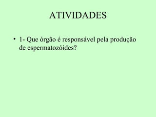 ATIVIDADES

• 1- Que órgão é responsável pela produção
  de espermatozóides?
 
