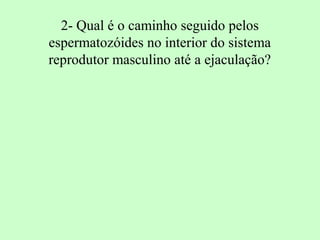 2- Qual é o caminho seguido pelos
espermatozóides no interior do sistema
reprodutor masculino até a ejaculação?
 