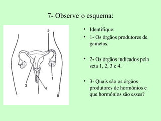 7- Observe o esquema:
           • Identifique:
           • 1- Os órgãos produtores de
             gametas.

           • 2- Os órgãos indicados pela
             seta 1, 2, 3 e 4.

           • 3- Quais são os órgãos
             produtores de hormônios e
             que hormônios são esses?
 