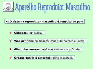  O sistema reprodutor masculino é constituído por:



     Gónadas: testículos.


     Vias genitais: epidídimos, canais deferentes e uretra.


     Glândulas anexas: vesículas seminais e próstata.


     Órgãos genitais externos: pénis e escroto.
 
