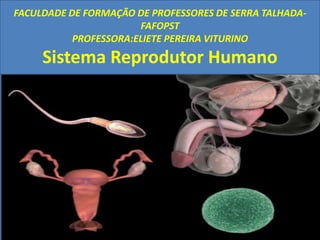 FACULDADE DE FORMAÇÃO DE PROFESSORES DE SERRA TALHADA-
                       FAFOPST
           PROFESSORA:ELIETE PEREIRA VITURINO
     Sistema Reprodutor Humano
 