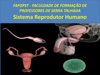 FAFOPST - FACULDADE DE FORMAÇÃO DE
PROFESSORES DE SERRA TALHADA
Sistema Reprodutor Humano
 