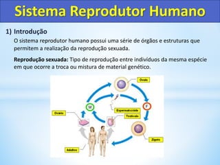1) Introdução
O sistema reprodutor humano possui uma série de órgãos e estruturas que
permitem a realização da reprodução sexuada.
Reprodução sexuada: Tipo de reprodução entre indivíduos da mesma espécie
em que ocorre a troca ou mistura de material genético.
Sistema Reprodutor Humano
 