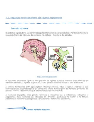 1.3. Regulação do funcionamento dos sistemas reprodutores
Controlo hormonal
Os sistemas reprodutores são controlados pelo sistema nervoso (Hipotálamo) e hormonal (hipófise e
gónadas) através da interação do complexo hipotálamo – hipófise e das gónadas.
http://www.netxplica.com/
O hipotálamo encontra-se ligado ao lobo posterior da hipófise e produz hormonas (hipotalâmicas) que
estimulam a hipófise. A hipófise, ou pituitária, é uma glândula endócrina situada na base do encéfalo.
A hormona hipotalâmica GnRH (gonadoptopin-releasing hormone), induz a hipófise a fabricar as suas
hormonas sexuais, as gonadotropinas que controlam a síntese da maior parte das hormonas produzidas nas
gónadas: hormona luteoestimulina (LH) e hormona foliculoestimulina (FSH).
As hormonas segregadas pelas gónadas femininas e masculinas são a testosterona, estrogénios e
progesterona. Estas hormonas são fabricadas em diferentes quantidades na mulher e no homem,
predominando na mulher os estrogénios e a progesterona e no homem a testosterona.
Controlo Hormonal Masculino
 
