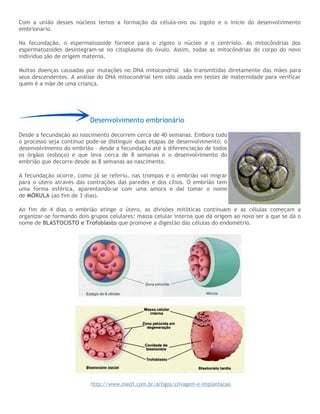 Com a união desses núcleos temos a formação da célula-ovo ou zigoto e o início do desenvolvimento
embrionário.
Na fecundação, o espermatozoide fornece para o zigoto o núcleo e o centríolo. As mitocôndrias dos
espermatozoides desintegram-se no citoplasma do óvulo. Assim, todas as mitocôndrias do corpo do novo
indivíduo são de origem materna.
Muitas doenças causadas por mutações no DNA mitocondrial são transmitidas diretamente das mães para
seus descendentes. A análise do DNA mitocondrial tem sido usada em testes de maternidade para verificar
quem é a mãe de uma criança.
Desenvolvimento embrionário
Desde a fecundação ao nascimento decorrem cerca de 40 semanas. Embora todo
o processo seja contínuo pode-se distinguir duas etapas de desenvolvimento: o
desenvolvimento do embrião – desde a fecundação até à diferenciação de todos
os órgãos (esboço) e que leva cerca de 8 semanas e o desenvolvimento do
embrião que decorre desde as 8 semanas ao nascimento.
A fecundação ocorre, como já se referiu, nas trompas e o embrião vai migrar
para o útero através das contrações das paredes e dos cílios. O embrião tem
uma forma esférica, aparentando-se com uma amora e daí tomar o nome
de MÓRULA (ao fim de 3 dias).
Ao fim de 4 dias o embrião atinge o útero, as divisões mitóticas continuam e as células começam a
organizar-se formando dois grupos celulares: massa celular interna que dá origem ao novo ser a que se dá o
nome de BLASTOCISTO e Trofoblasto que promove a digestão das células do endométrio.
http://www.med1.com.br/artigos/clivagem-e-implantacao
 