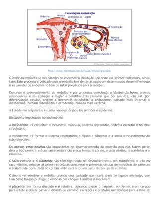 http://www.10emtudo.com.br/aula/ensino/gravidez/
O embrião implanta-se nas paredes do endométrio (NIDAÇÃO) de onde vai receber nutrientes, nesta
fase. Este processo é delicado pois o embrião tem de ter atingido um determinado desenvolvimento
e as paredes do endométrio tem de estar preparado para o receber.
Continua o desenvolvimento do embrião e por processos complexos o blastocisto forma anexos
embrionários e vai começar a migrar e constituir três camadas que por sua vez, irão dar, por
diferenciação celular, origem a diferentes estruturas: a endoderme, camada mais interna; a
mesoderme, camada intermédia e ectoderme, camada mais externa.
A Ectoderme originará o sistema nervoso, órgãos dos sentidos e epiderme.
Blastocisto implantado no endométrio
A mesoderme irá constituir o esqueleto, músculos, sistema reprodutor, sistema excretor e sistema
circulatório.
A endoderme irá formar o sistema respiratório, o fígado e pâncreas e a ainda o revestimento do
tubo digestivo.
Os anexos embrionários são importantes no desenvolvimento do embrião mas não fazem parte
dele e irão persistir até ao nascimento e são eles o âmnio, o córion, o saco vitelino, o alantoide e a
placenta.
O saco vitelino e o alantoide não têm significado no desenvolvimento dos mamíferos, e irão no
saco vitelino, originar as primeiras células sanguíneas e primeiras células germinativas de gametas
e o alantoide (localizado no cordão umbilical) originará parte da bexiga do embrião.
O âmnio vai envolver o embrião criando uma cavidade que ficará cheia de líquido amniótico que
tem como função proteger o embrião dos choques térmicos e mecânicos.
A placenta tem forma discoide e é seletiva, deixando passar o oxigénio, nutrientes e anticorpos
para o feto e deixar passar o dióxido de carbono, excreções e produtos metabólicos para a mãe. O
 
