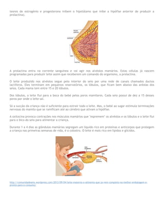 teores de estrogénio e progesterona inibem o hipotálamo que inibe a hipófise anterior de produzir a
prolactina).
A prolactina entra na corrente sanguínea e vai agir nos alvéolos mamários. Estas células já nascem
programadas para produzir leite assim que receberem um comando do organismo, a prolactina.
O leite produzido nos alvéolos segue pelo interior do seio por uma rede de canais chamados ductos
lactíferos. Eles terminam em pequenos reservatórios, os lóbulos, que ficam bem abaixo das aréolas dos
seios. Cada mama tem entre 15 e 20 lóbulos.
Dos lóbulos, o leite flui para a boca do bebé pelos poros mamilares. Cada seio possui de dez a 15 desses
poros por onde o leite sai.
Só a sucção da criança não é suficiente para extrair todo o leite. Mas, o bebé ao sugar estimula terminações
nervosas do mamilo que se ramificam até ao cérebro que ativam a hipófise.
A oxitocina provoca contrações nos músculos mamários que "espremem" os alvéolos e os lóbulos e o leite flui
para o bico do seio para alimentar a criança.
Durante 1 a 4 dias as glândulas mamárias segregam um líquido rico em proteínas e anticorpos que protegem
a criança nas primeiras semanas de vida, é o colostro. O leite é mais rico em lípidos e glícidos.
http://comunidadeams.wordpress.com/2013/09/04/leite-materno-o-alimento-que-ja-vem-completo-na-melhor-embalagem-e-
pronto-para-o-consumo/
 