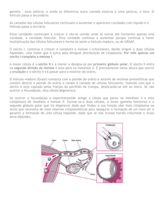 gameta – zona pelúcia, e ainda se diferencia outra camada externa à zona pelúcia, a teca. O
folículo passa a secundário.
As camadas das células foliculares continuam a aumentar e aparecem cavidades com líquido e o
folículo passa a terciário.
Estas cavidades continuam a crescer e vão-se unindo umas às outras até formarem apenas uma
cavidade, a cavidade folicular. Esta cavidade continua a aumentar porque continua a haver
multiplicação das células foliculares e forma-se assim o folículo maduro, ou de GRAAF.
O oócito I, continua a crescer e completa a meiose I (citocinese), dando origem a duas células
haploides, uma maior que a outra pela desigual distribuição de citoplasma. Por mês apenas um
oócito I completa a meiose I.
A maior célula é o oócito II e a menor a designa-se por primeiro glóbulo polar. O oócito II entra
na segunda divisão da meiose e esta para na metáfase II. É precisamente nesta altura que ocorre
a ovulação e o oócito II irá passar para o exterior do ovário.
O folículo maduro (Graaf) contacta com a parede do ovário e através de enzimas proteolíticas que
contém destrói a parede do ovário e rompe a camada de células foliculares, fazendo com que o
oócito II seja captado pelas franjas do pavilhão da trompa, deslocando-se até ao útero. Se não
ocorrer a fecundação, esta célula degenerará.
Se ocorrer a fecundação o espermatozoide atinge a célula que parou na metáfase II e esta
completará de imediato a meiose II. Formar-se-á duas células, o óvulo (gameta feminino) e o
segundo glóbulo polar que irá degenerar dado que findou a sua função (dar mais citoplasma ao
óvulo que necessita de mais reservas citoplasmáticas para assegurar a formação de um novo ser e
garantir a formação de uma célula haploide, dado que se não tivesse havido citocinese o óvulo
seria diploide).
 