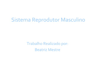 Sistema Reprodutor Masculino Trabalho Realizado por: Beatriz Mestre 