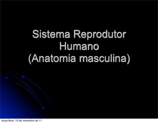 Sistema Reprodutor
                           Humano
                     (Anatomia masculina)




terça-feira, 15 de novembro de 11
 