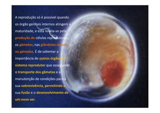 A reprodução só é possível quando
os órgão genitais internos atingem a
maturidade, e esta revela-se pela
produção de células reprodutoras,
os gâmetas, nas glândulas sexuais
ou gónadas. É de salientar a
importância de outros órgãos do
sistema reprodutor que asseguram
o transporte dos gâmetas e a
manutenção de condições para a
sua sobrevivência, permitindo a
sua fusão e o desenvolvimento de
um novo ser.

 