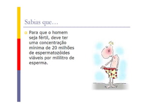 Sistema reprodutor masculino