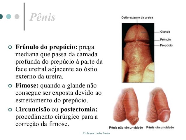Aumento no membro da idade durante 60 anos