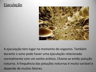 Ejaculação
A ejaculação tem lugar no momento do orgasmo. Também
durante o sono pode haver uma ejaculação relacionada
normalmente com um sonho erótico. Chama-se então polução
noturna. A frequência das poluções noturnas é muito variável e
depende de muitos fatores.
 