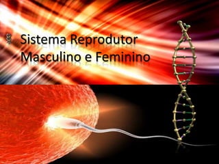 Sistema Reprodutor
Masculino e Feminino
 