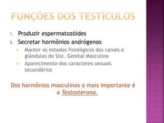 1. Produzir espermatozóides
2. Secretar hormônios andrógenos
 Manter os estados fisiológicos dos canais e
glândulas do Sist. Genital Masculino
 Aparecimento dos caracteres sexuais
secundários
Dos hormônios masculinos o mais importante é
a Testosterona.
 