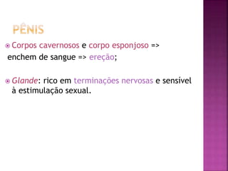  Corpos cavernosos e corpo esponjoso =>
enchem de sangue => ereção;
 Glande: rico em terminações nervosas e sensível
à estimulação sexual.
 