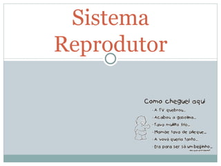 Sistema Reprodutor 