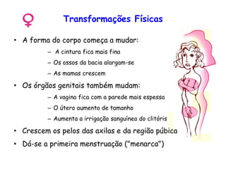Transformações Físicas
• A forma do corpo começa a mudar:
– A cintura fica mais fina
– Os ossos da bacia alargam-se
– As mamas crescem
• Os órgãos genitais também mudam:
– A vagina fica com a parede mais espessa
– O útero aumenta de tamanho
– Aumenta a irrigação sanguínea do clitóris
• Crescem os pelos das axilas e da região púbica
• Dá-se a primeira menstruação ("menarca")
 
