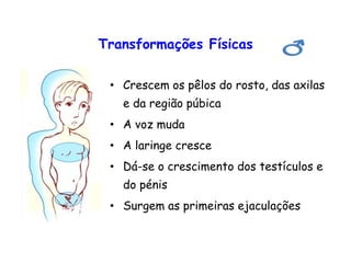 Transformações Físicas
• Crescem os pêlos do rosto, das axilas
e da região púbica
• A voz muda
• A laringe cresce
• Dá-se o crescimento dos testículos e
do pénis
• Surgem as primeiras ejaculações
 