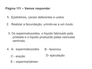 Página 111 – Vamos responder
1. Epidídimos, canais deferentes e uretra.
2. Realizar a fecundação, unindo-se a um óvulo.
3. Os espermatozoides, o líquido fabricado pela
próstata e o líquido produzido pelas vesículas
seminais.
4. A- espermatozoides B - feminino
C - ereção D- ejaculação
E – esperma/sémen
 